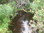 Culvert Crossing, Harmon Brook at Route 86, Marion Twp, Maine