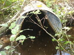 Culvert Crossing, Harmon Brook at Route 86, Marion Twp, Maine