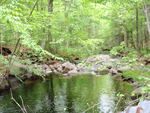 Culvert Crossing, Hay Brook at Route 11, Ebeemee Twp, Maine