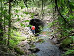 Culvert Crossing, Hay Brook at Route 11, Ebeemee Twp, Maine