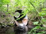 Culvert Crossing, Hay Brook at Route 11, Ebeemee Twp, Maine