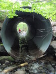 Culvert Crossing, Henderson Brook at Katahdin Iron Works Rd, Bowdoin College Grant East Twp, Maine