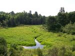 Culvert Crossing, Herds Brook at Route 15 South, Bucksport, Maine