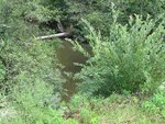 Culvert Crossing, Hewitt Brook at Shulman Dr, Windsor, Maine