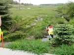 Culvert Crossing, Higgins Creek at Ocean Ave, Scarborough, Maine