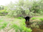 Culvert Crossing, Higgins Creek at Ocean Ave, Scarborough, Maine
