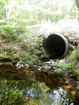 Culvert Crossing, Hill Brook at Peabody Pond Rd, Sebago, Maine