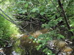 Culvert Crossing, Hilton Brook at Mayhew Road, Starks, Maine