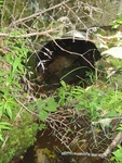 Culvert Crossing, Hodgdon Brook at Long Pond Fire Rd, Mount Desert, Maine
