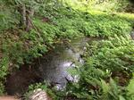 Culvert Crossing, Hope Brook at Route 220, Washington, Maine