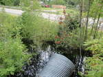 Culvert Crossing, Houston Brook at Route 2, Winn, Maine