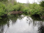 Culvert Crossing, Howard Brook at North Guilford Rd, Guilford, Maine