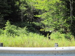 Culvert Crossing, Hoyt Brook at Route 202, Winthrop, Maine