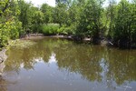 Culvert Crossing, Hudson Brook at Puddledock, Charleston, Maine