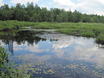 Culvert Crossing, Hunter Brook at Bog Brook Rd, China, Maine