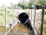 Culvert Crossing, Hutchins Brook at Safford Rd, New Portland, Maine