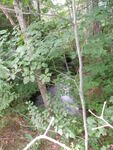 Culvert Crossing, Hyde Brook at Route 302, Windham, Maine