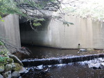 Culvert Crossing, Indian Stream at Lexington Rd, Kingfield, Maine