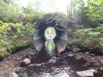 Culvert Crossing, Indian Stream at Middle Rd, New Portland, Maine