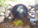 Culvert Crossing, Inlet Brook at Unnamed, Shawtown Twp, Maine