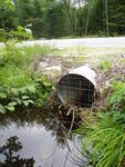 Culvert Crossing, Jack Branch at Route 117, Bridgton, Maine