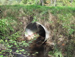 Culvert Crossing, Jackins Brook at Hinkley Rd, Clinton, Maine