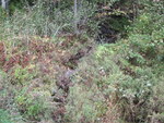 Culvert Crossing, Jackins Brook at Hinkley Rd, Clinton, Maine