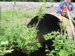 Culvert Crossing, Jenks Brook at Railroad, Brownville, Maine