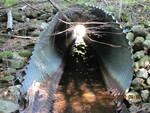 Culvert Crossing, Jimmy Brook at Route 197, Litchfield, Maine