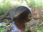 Culvert Crossing, Johnson Branch at Woodville Rd, Falmouth, Maine