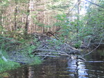 Culvert Crossing, Jonhnson Brook at Johnson Flat Rd, Pittsfield, Maine