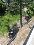 Culvert Crossing, Jordan Stream at Route 3, Mount Desert, Maine