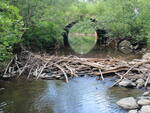 Culvert Crossing, Josiah Brook at Brann Mills Road, Starks, Maine