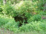 Culvert Crossing, Junkins Brook at Deer Wander Rd., Hollis, Maine