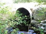 Culvert Crossing, Junkins Brook at Route 117, Hollis, Maine