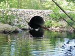 Culvert Crossing, Junkins Brook at Route 117, Hollis, Maine