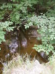 Culvert Crossing, Kedar Brook at Plummer Hill Rd, Waterford, Maine