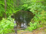 Culvert Crossing, Kelly Brook at Old Baldwin Rd, Baldwin, Maine