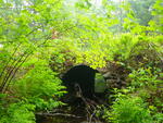 Culvert Crossing, Kelly Brook at Old Baldwin Rd, Baldwin, Maine