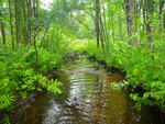 Culvert Crossing, Kelly Brook at Old Baldwin Rd, Baldwin, Maine