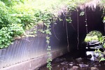 Culvert Crossing, Kenduskeag Stream at Route 94, Garland, Maine