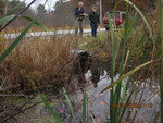 Culvert Crossing, Kezar Brook at South Rd, Winthrop, Maine