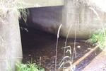 Culvert Crossing, Kidder Brook at Route 46, Eddington, Maine