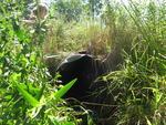 Culvert Crossing, Kimball Brook at Beech Hill Rd, Pittston, Maine