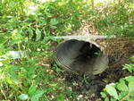 Culvert Crossing, Kimball Brook at Stillman St, South Portland, Maine