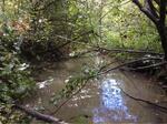 Culvert Crossing, Kincaid Stream at Rices Corner Rd, Solon, Maine