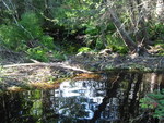Culvert Crossing, Kitteredge Brook at Route 102/198, Bar Harbor, Maine