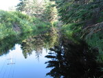 Culvert Crossing, Kitteredge Brook at Route 102/198, Bar Harbor, Maine