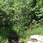 Culvert Crossing, Labrador Brook at Wood Street, Turner, Maine