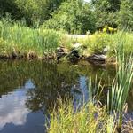 Culvert Crossing, Labrador Brook at Wood Street, Turner, Maine